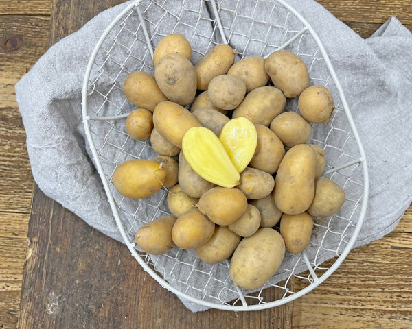 Bio Ofen-Kartoffeln - FritziFrisch