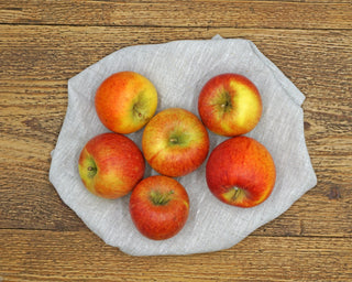 Kiste Bio Äpfel 10kg - FritziFrisch