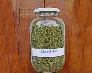 Liebstöckel - FridaFrisch