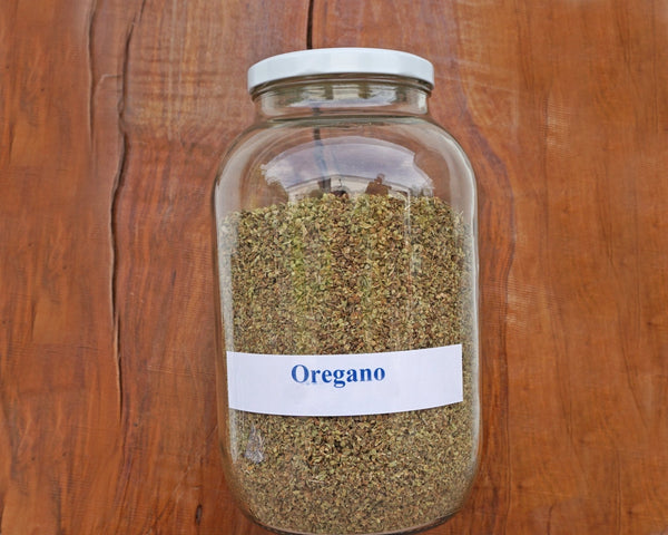 Oregano - FridaFrisch